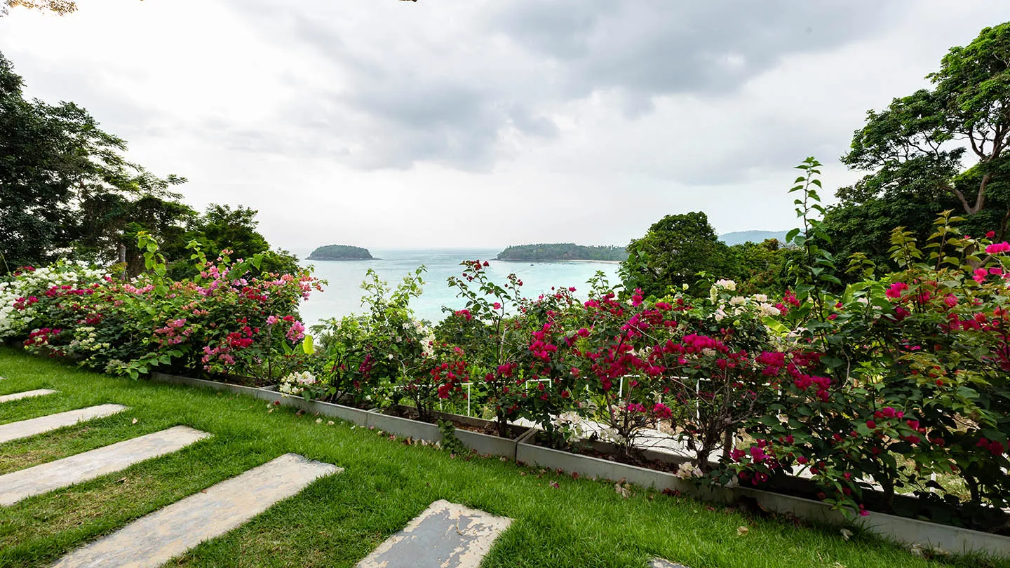 andaman-cannacia-resort-karon-thailand hotel image